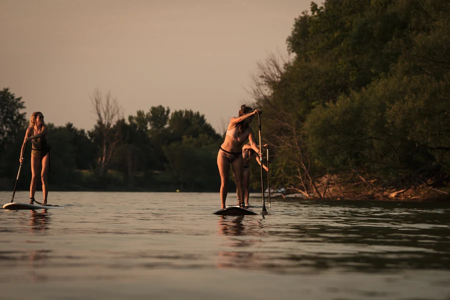 Paddle 1