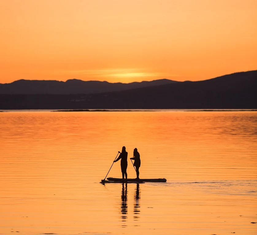Paddle 4