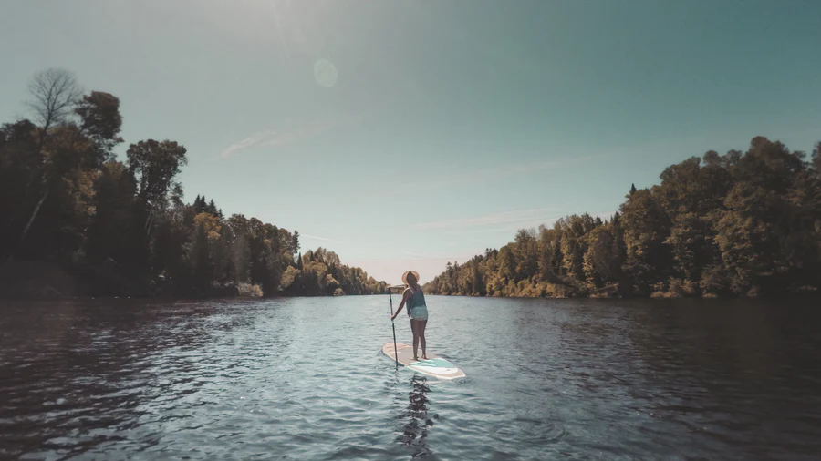 Paddle 2