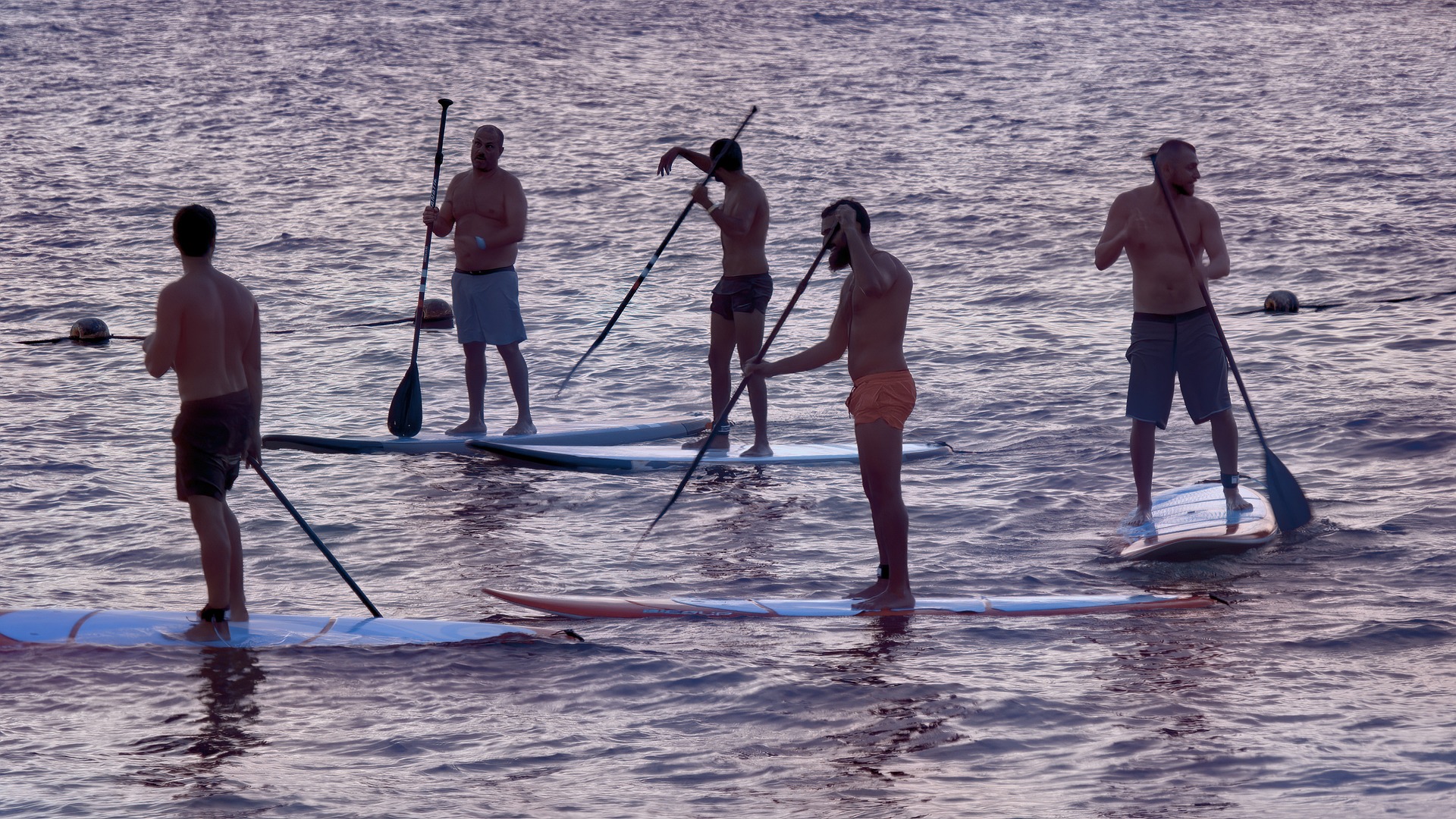 Paddle 15
