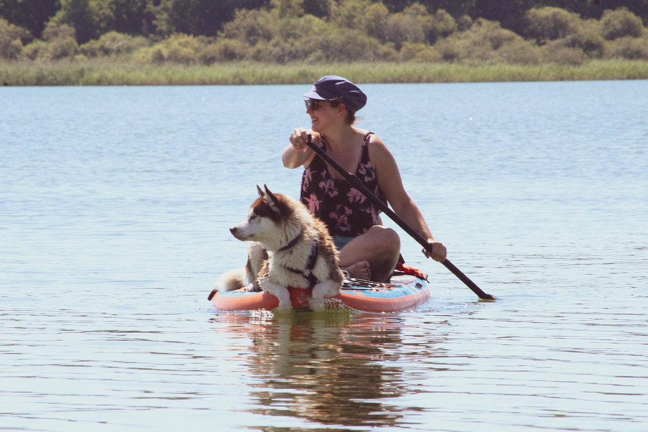 Paddle 10