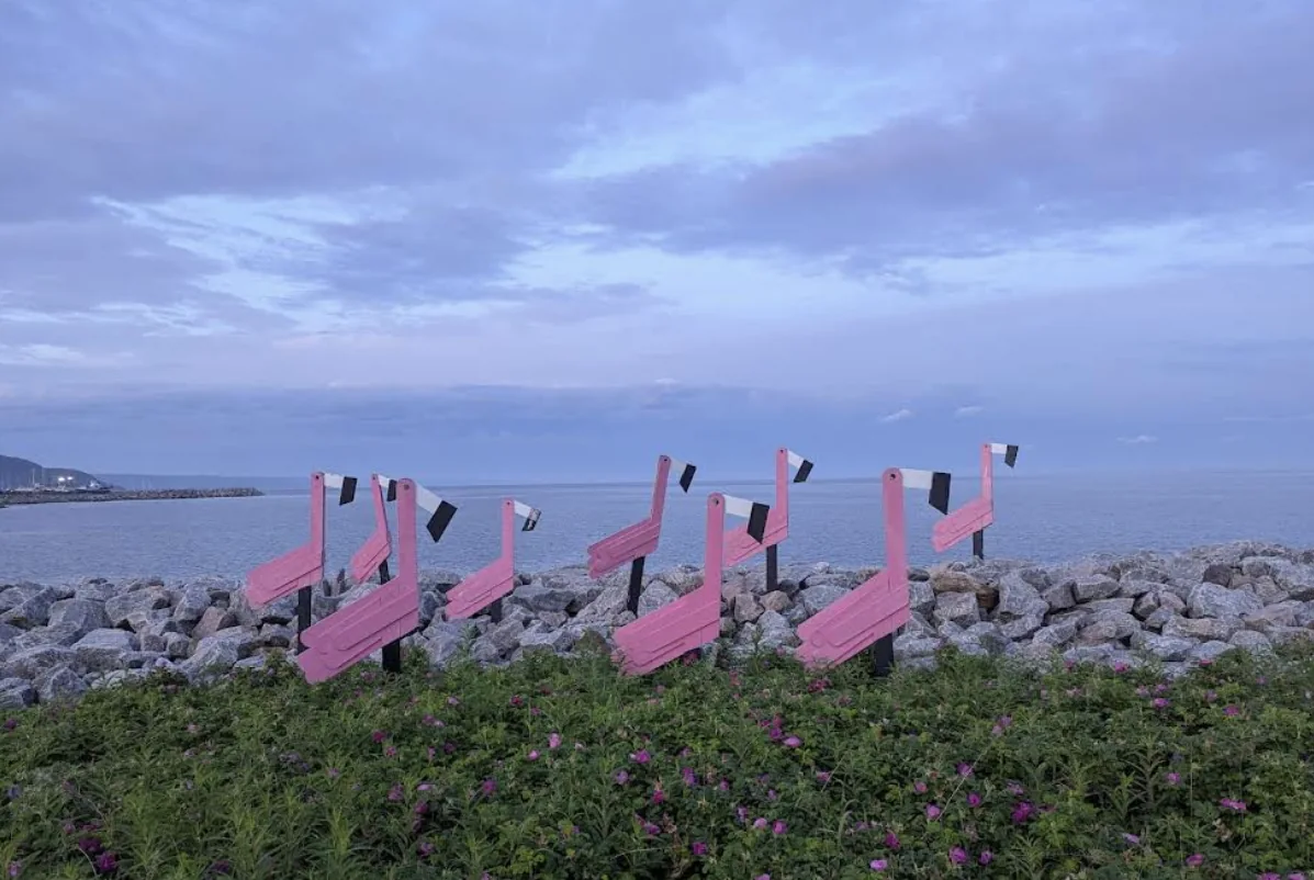 Photo du spot