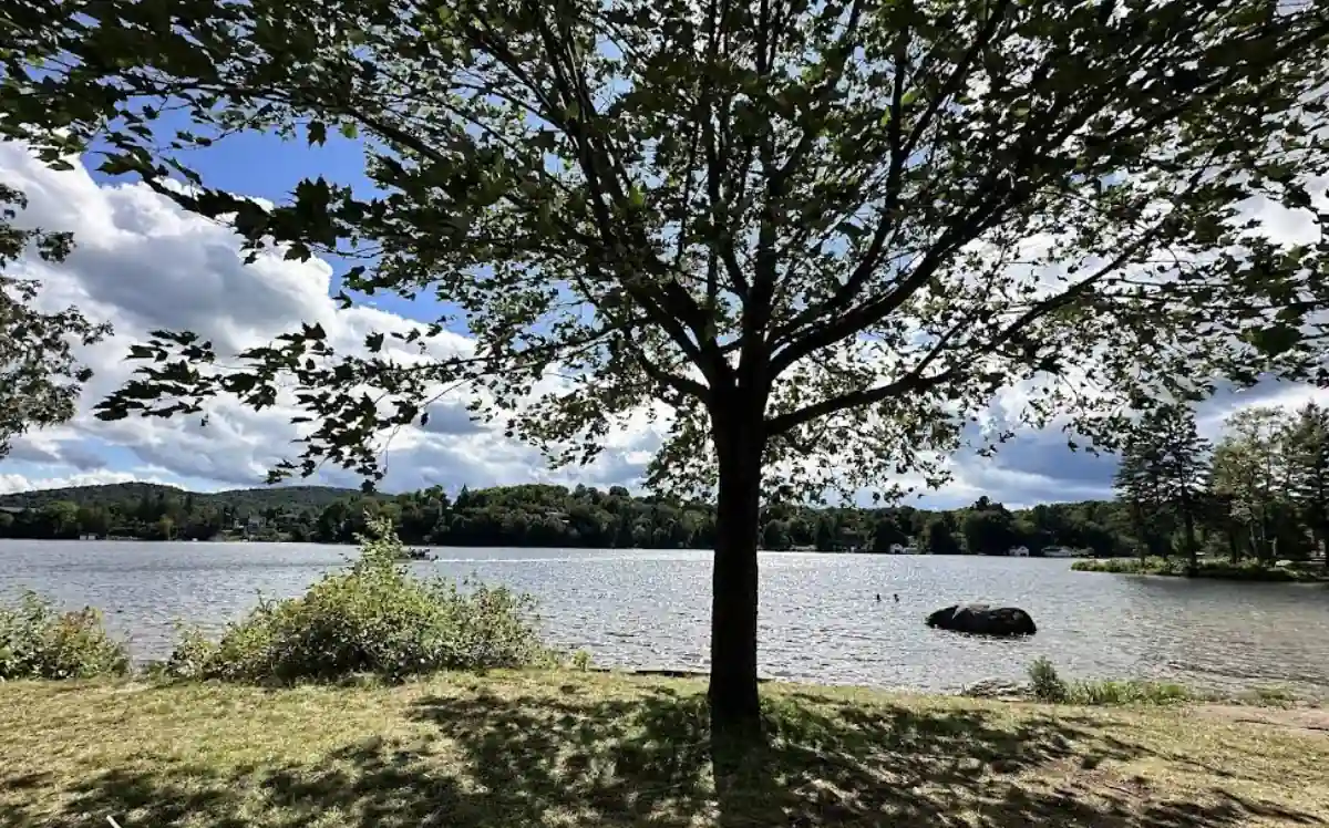 Photo du spot